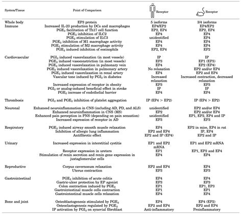 Human and Rodent Prostaglandin Receptors & Prostacyclin Receptor – LVTS ...