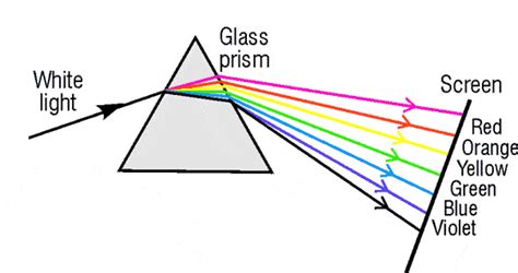 Properties of light | Optics Quiz - Quizizz