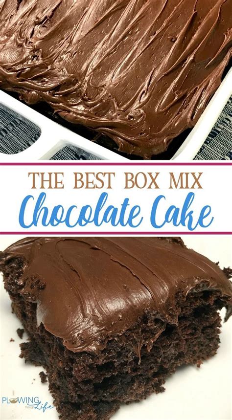 Box Mix Chocolate Cake with only a few easy ingredients added is so ...