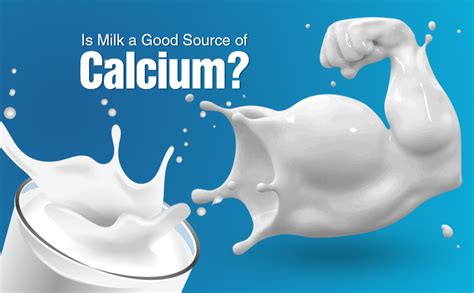 Is Milk a Good Source of Calcium? | Dollons