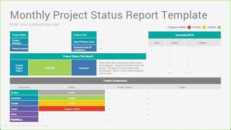 Professional Project Management Status Update Template | Project status ...