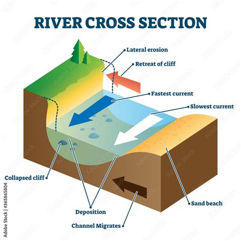 River cross section with labeled educational structure vector ...