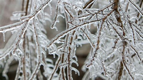 Sleet, freezing rain, and snow: here's the difference and why it matters | 11alive.com