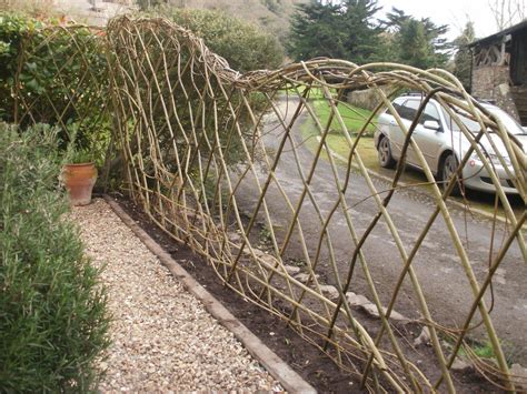 Living Willow Fence planted today! - Wicked Willow