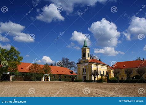 Horse-breeding farm stock image. Image of livestock, fields - 19530931