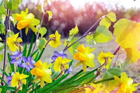 Spring landscape and flowers 9889536 Stock Photo at Vecteezy