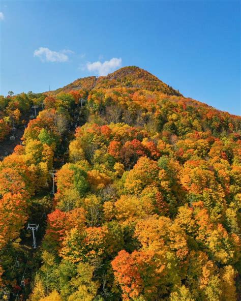 13 Best Places to Catch Catskills Fall Foliage in 2023