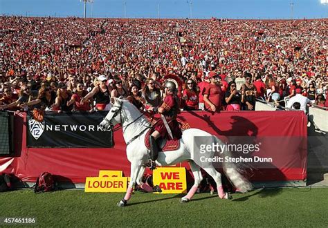 1,021 Usc Mascot Stock Photos, High-Res Pictures, and Images - Getty Images