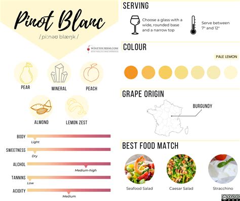 Interesting facts about Pinot Blanc | WineTourism.com