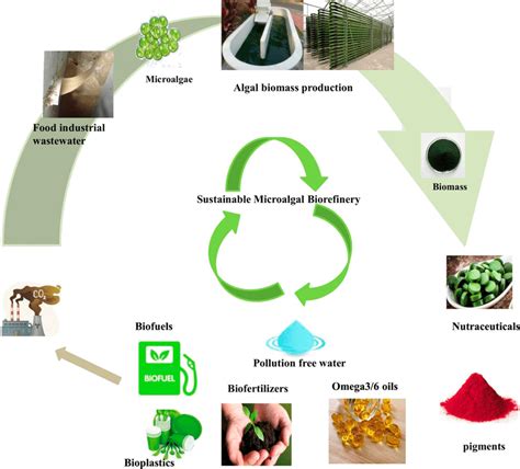 Sustainable microalgal biorefinery products coupled with food ...