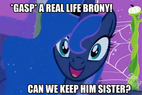 [Image - 562473] | My Little Pony: Friendship is Magic | Know Your Meme