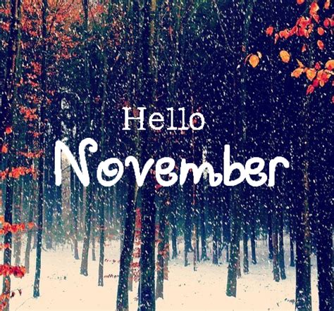 Hello November Pictures, Photos, and Images for Facebook, Tumblr ...