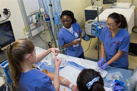 Accelerated Nursing Programs In Virginia - Online Course