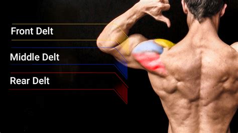 12 Best Shoulder Exercises (How Many Are YOU Doing?) | ATHLEAN-X