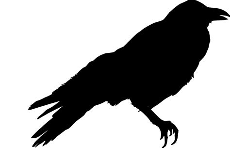 SVG > animal bird crow - Free SVG Image & Icon. | SVG Silh