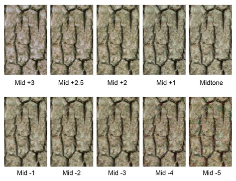 How to determine the dynamic range of your camera – Peter Gkonos Nature ...