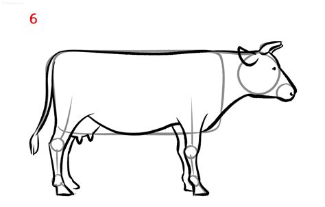 Cow Drawing Ideas » How to draw a Cow Step by Step