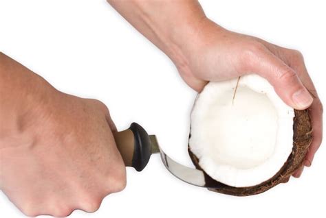 Coconut Tool Stainless Steel Coconut Meat Removal Knife | Live Love Fruit