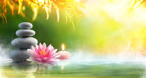 Rebirth: Buddhism and the Spring - ULC Blog - Universal Life Church