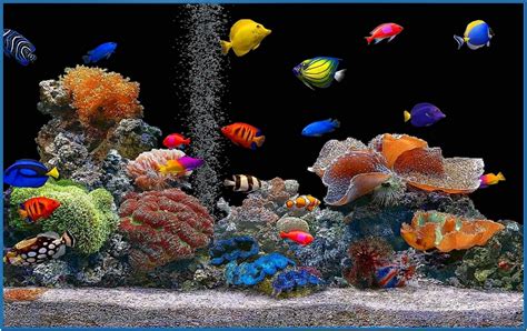 Hdtv screensaver aquarium - Download free