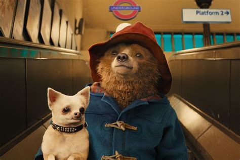 Paddington 2 movie review - bazaropm