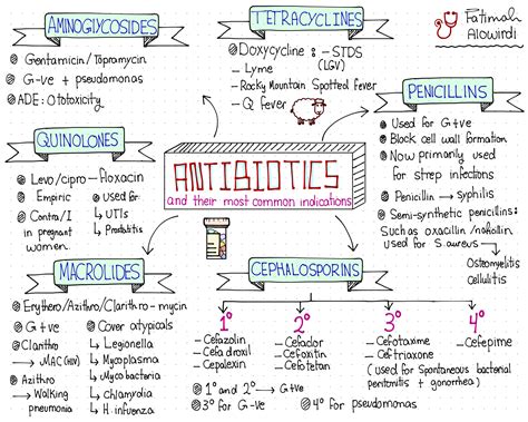 a handwritten diagram with the words autoatocts and other common ...