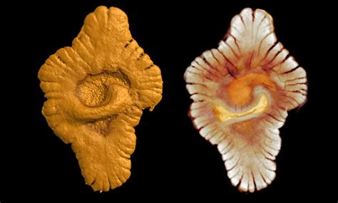 According2Robyn: The Proterozoic Eon, Part 4