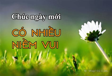 Tải 24+ Hình Ảnh Chúc Ngày Mới Tốt Lành, Vui Vẻ May Mắn