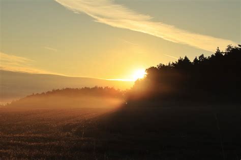 Sunset Sunlight behind Forest Trees · Free Stock Photo