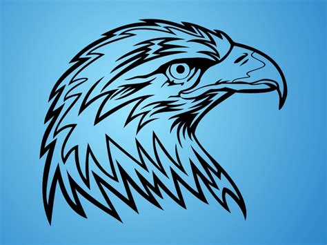 Eagle Head Vector Art & Graphics | freevector.com