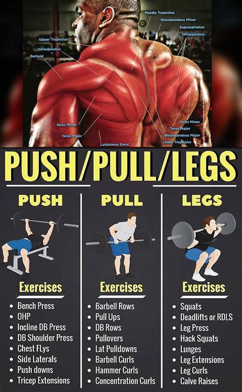 HOW TO COMPLEX PUSH & PULL EXERCISES