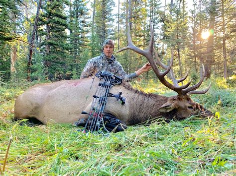 Wyoming Guided Elk Hunts | Elk Hunting Outfitters