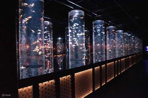 Art Aquarium Museum GINZA Admission Ticket - Klook Singapore