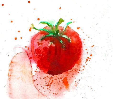 Tomato Watercolor at PaintingValley.com | Explore collection of Tomato ...