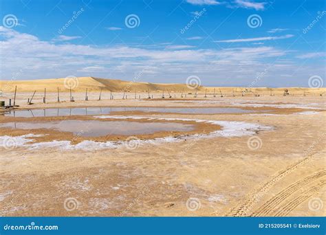 Sahara Desert after Rain, Puddles on Saline Soils Stock Image - Image of background, view: 215205541