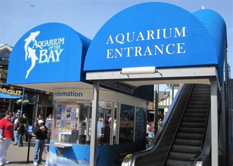 Aquarium of the Bay, San Francisco, CA - California Beaches