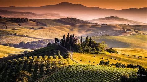 Tuscany Vineyard , , Tuscany Vineyard . Background, Italy Vineyard HD ...