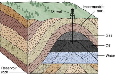 Learning Geology: Petroleum Geology