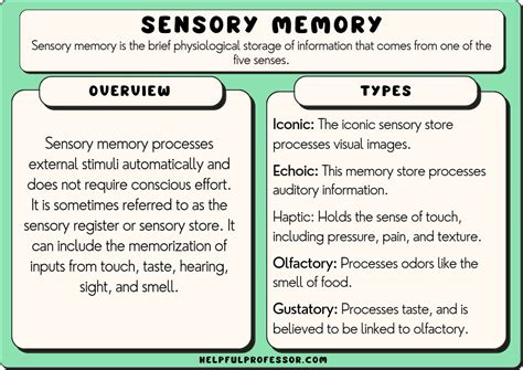 10 Sensory Memory Examples (2024)