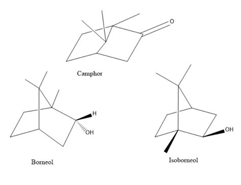 Structure Of Camphor | bartleby