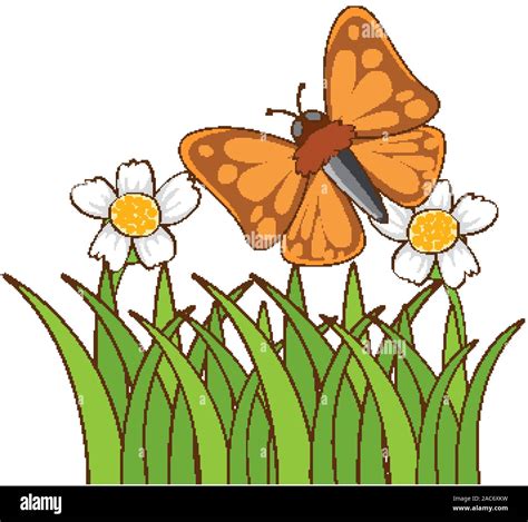 Butterfly in garden on white background illustration Stock Vector Image ...