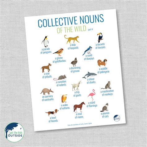 Collective Nouns PART 4 Animals & Birds Wall Art - Etsy