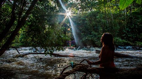 Brazil's indigenous Waiapi tribe guards the Amazon | CNN