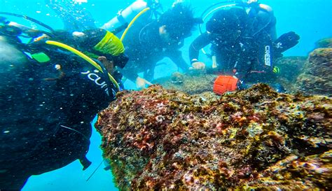 Restoring Coral Reefs | Galápagos Conservancy