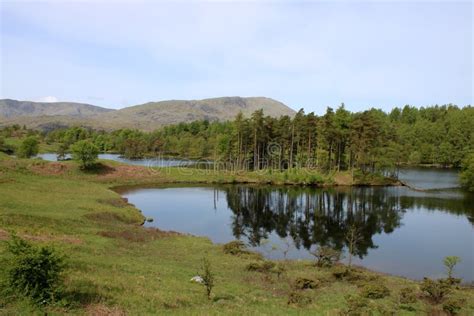 Tarn Hows Lake English Lake District, Cumbria Stock Photo - Image of ...