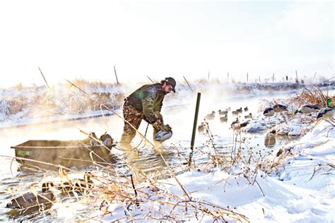 Mallards on Ice: Hunting Winter Mallards - Wildfowl