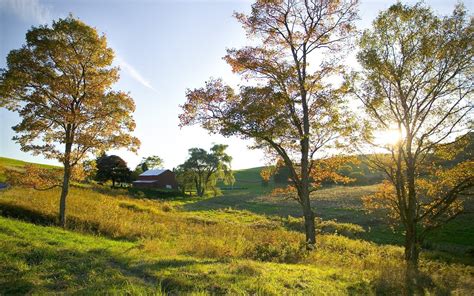 landscapes, Golden, Ohio, Farm Wallpapers HD / Desktop and Mobile ...