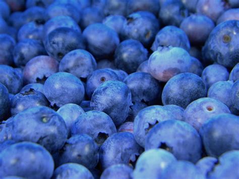 Free Images : table, plant, fruit, berry, ripe, food, produce, blueberry, fresh, blue, juicy ...