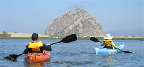 Morro Bay California Guided Kayak Tours