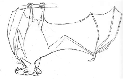 Hanging Bat Drawing at GetDrawings | Free download